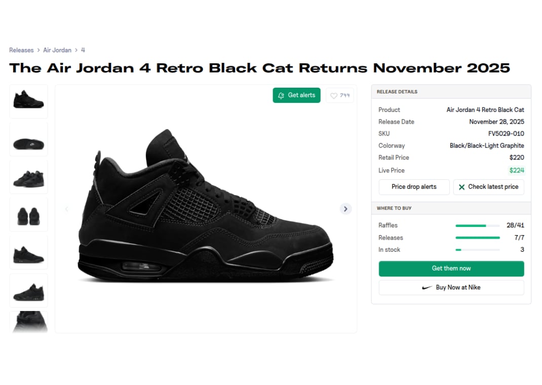 Air Jordan 4 Retro Black Cat