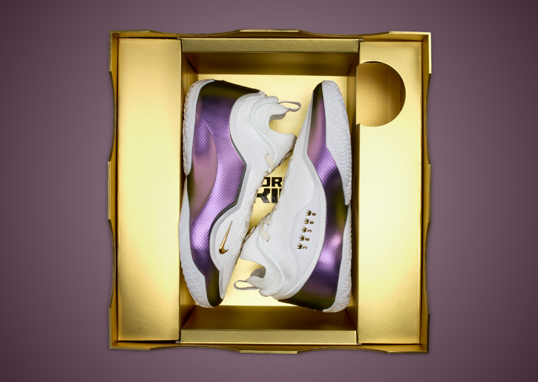 Nike LeBron 23 Elite For The Record - Box
