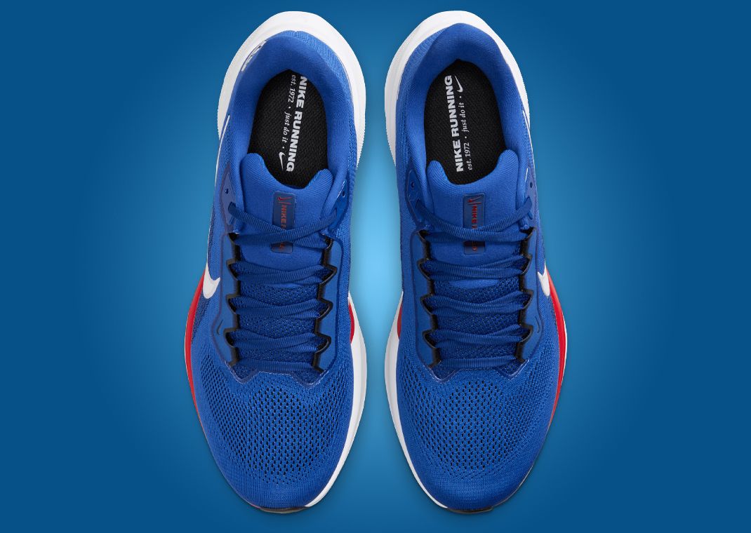 NFL x Nike Pegasus 41 New York Giants Top