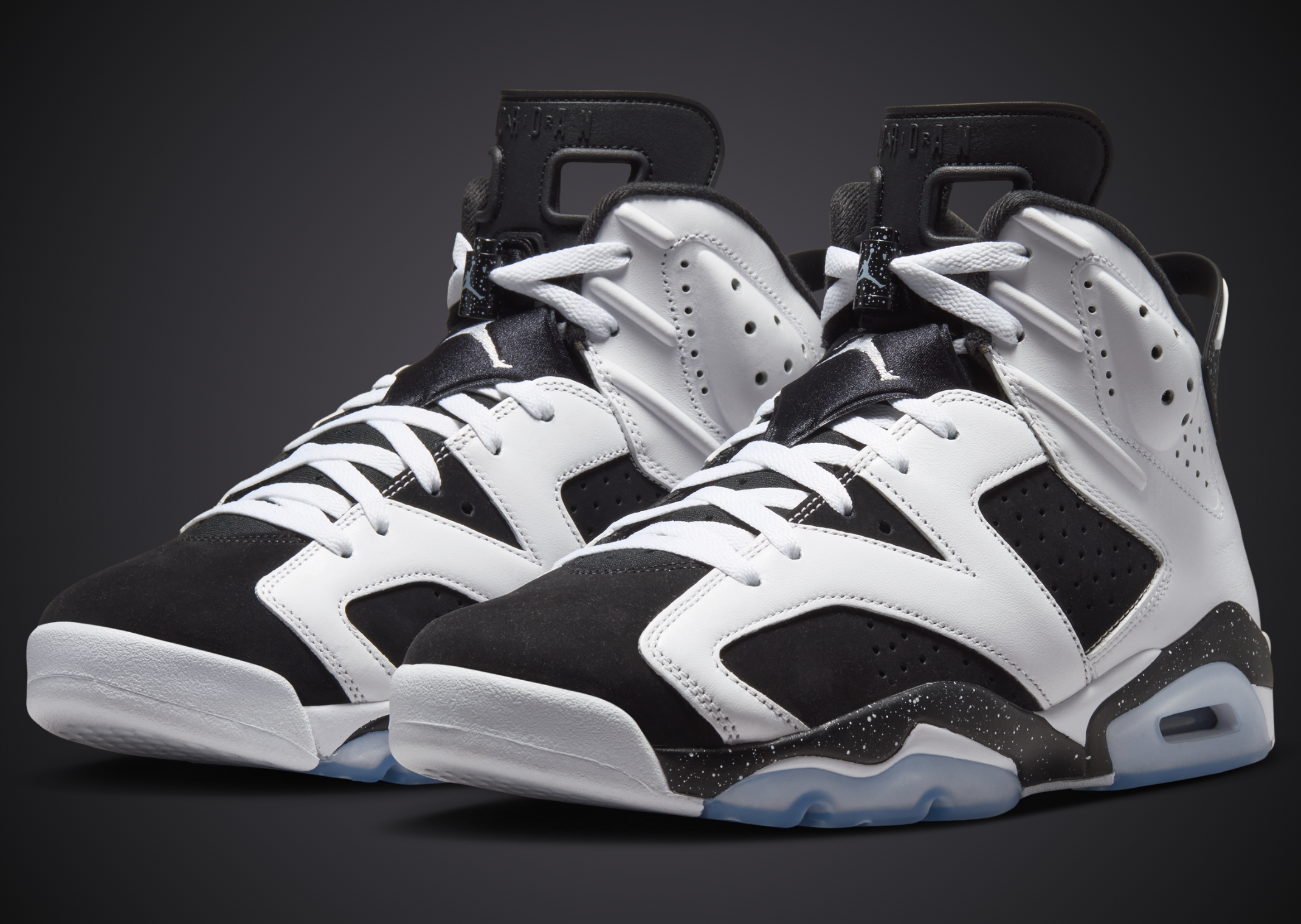 Air Jordan 6