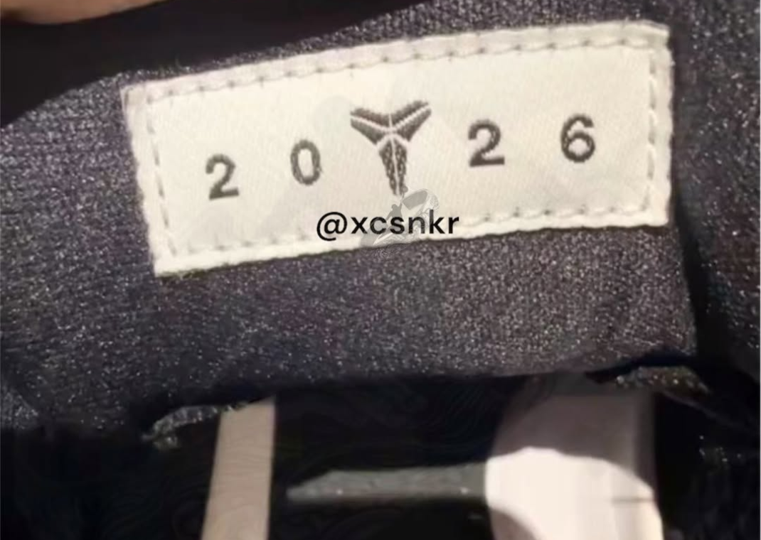 Nike Kobe 11 Protro Mamba Day Detail