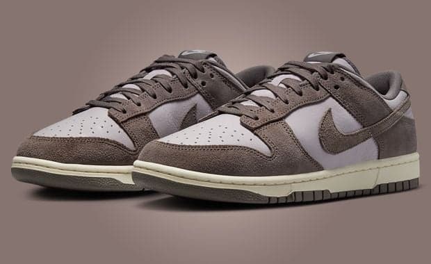 Nike Dunk Low Platinum Violet Cave Stone