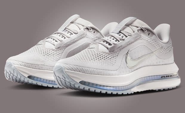 Nike Pegasus Premium Vast Grey (W)