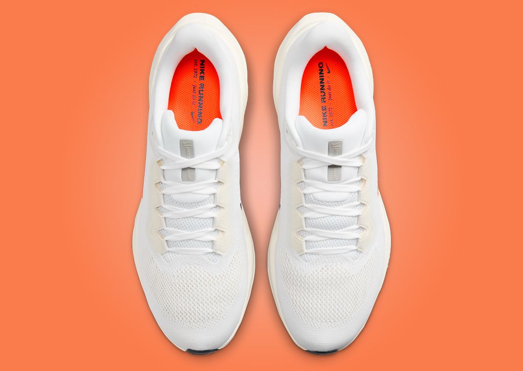 Nike Zoom Pegasus 41 Anniversary Top