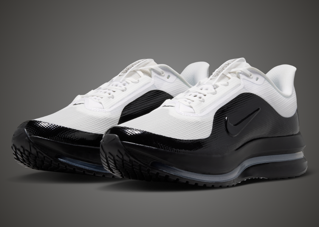 Nike Pegasus Premium SP White Black - Angle