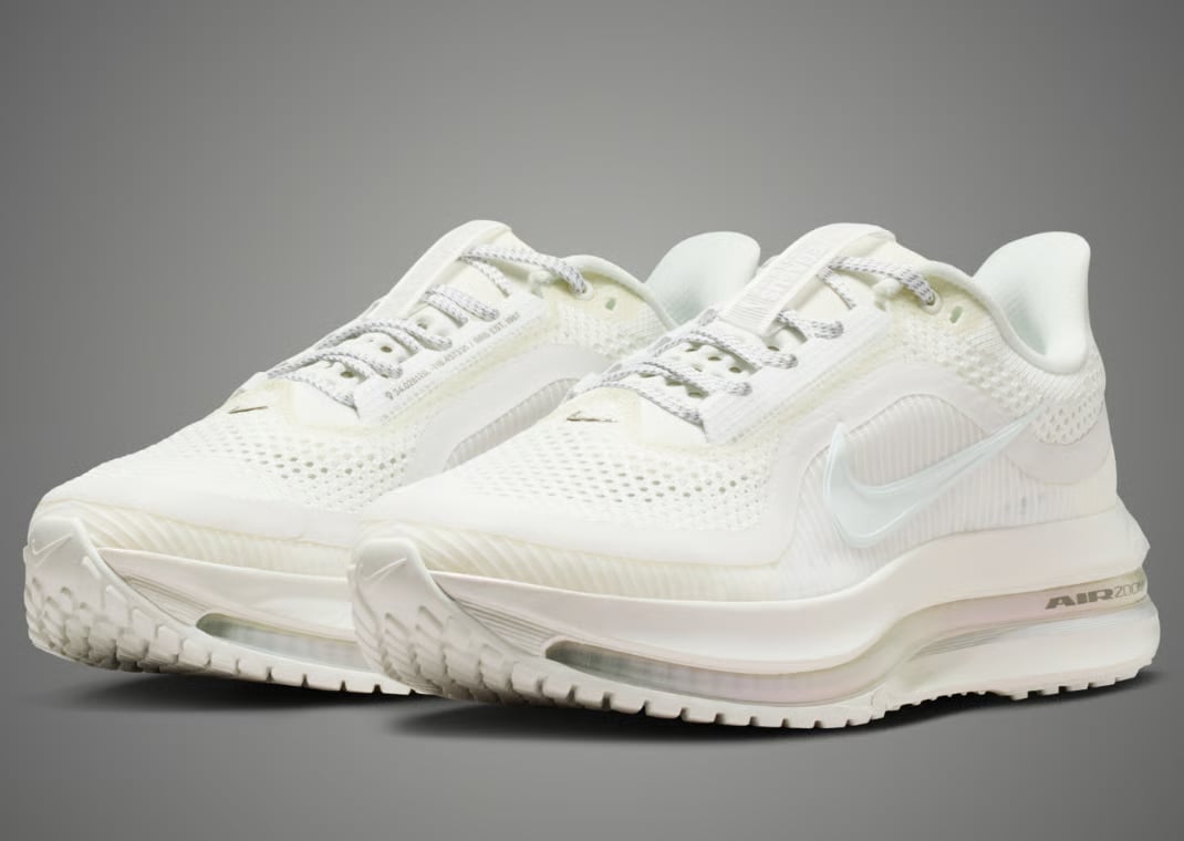 Nike Pegasus Premium