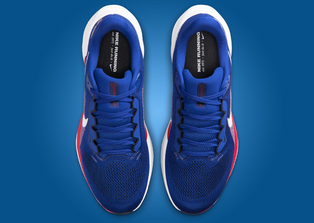 NFL x Nike Pegasus 41 Buffalo Bills Top