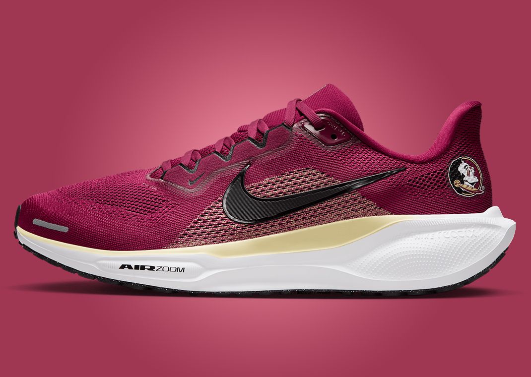 NCAA x Nike Pegasus 41 FSU Lateral