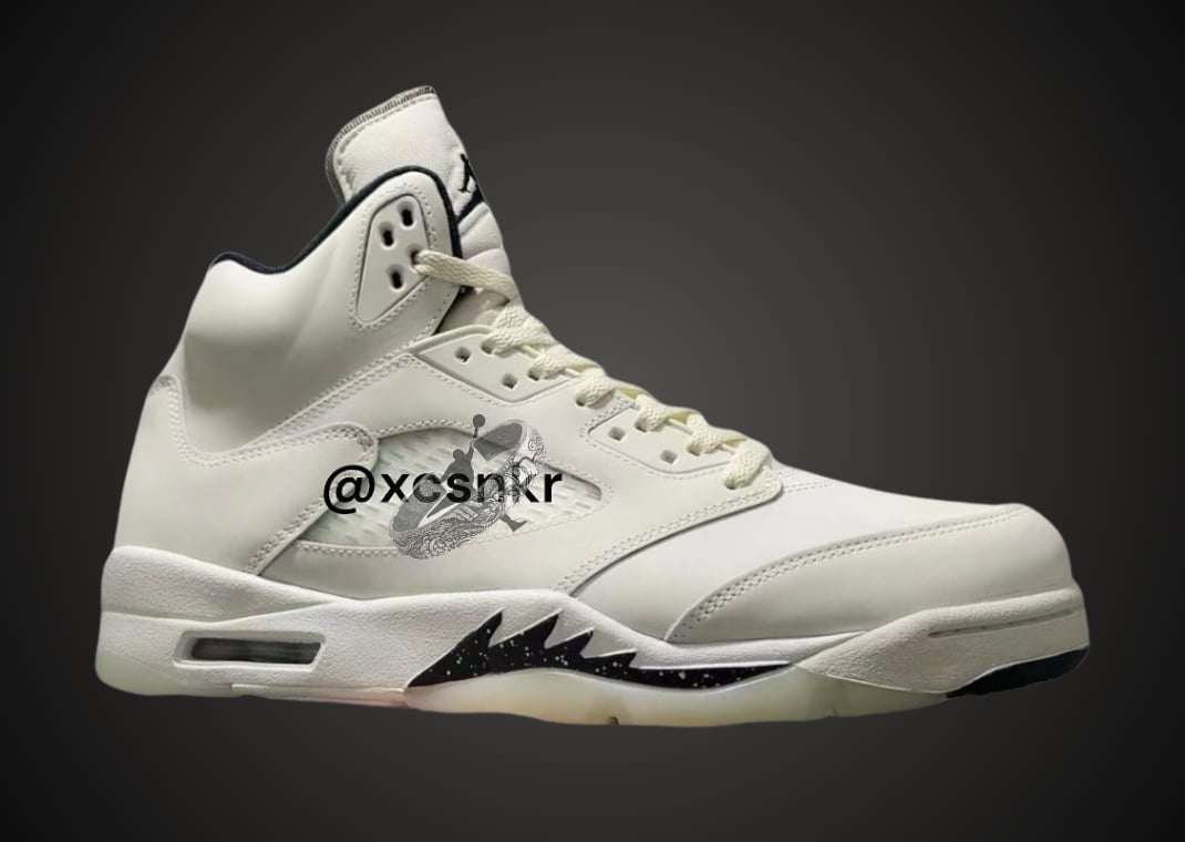 Air Jordan 5 Retro SE Sail Lateral