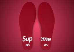 Supreme x Nike SB Air Max CB '94 White - Insoles