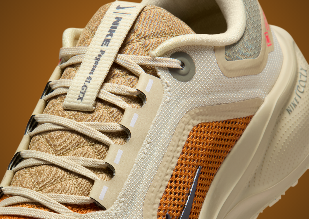 Nike Pegasus 41 Gore-Tex Running Poets - Detail