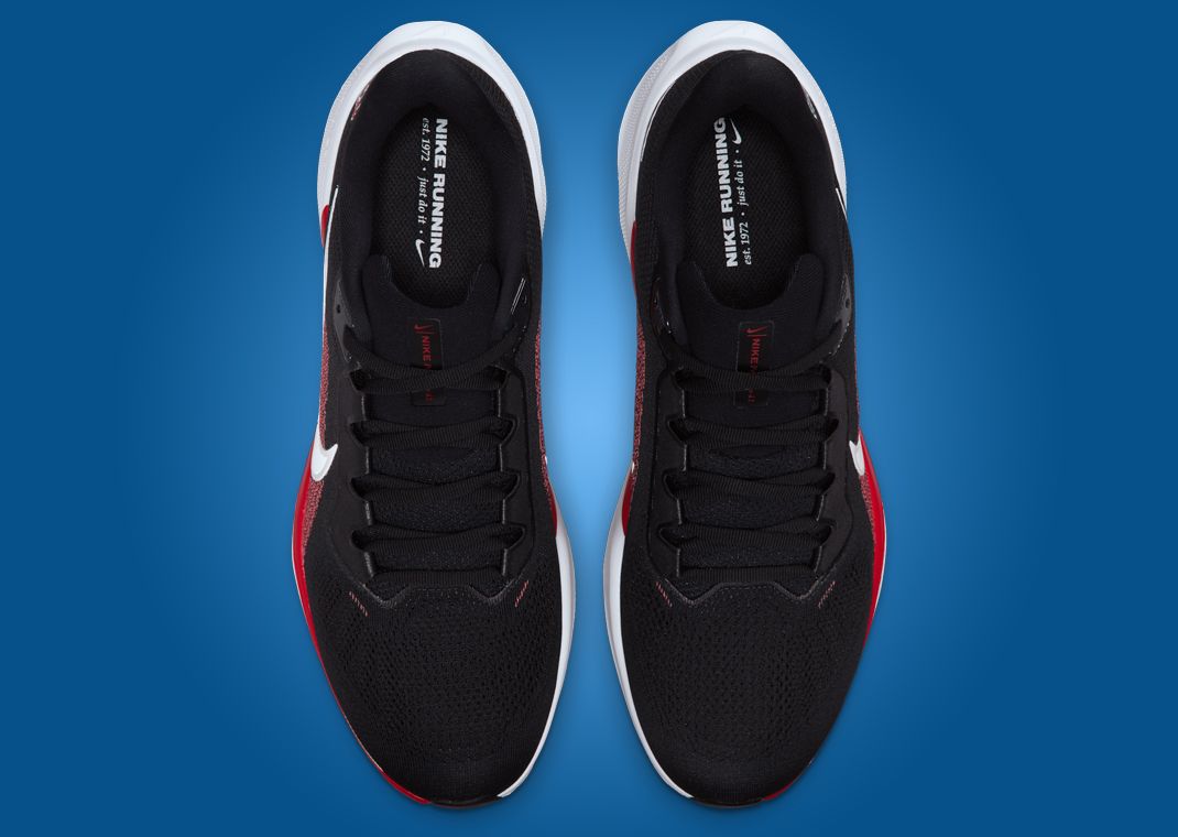 NFL x Nike Pegasus 41 Houston Texans Top