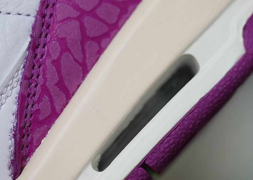 Air Jordan 3 Retro Joker (GS) Detail