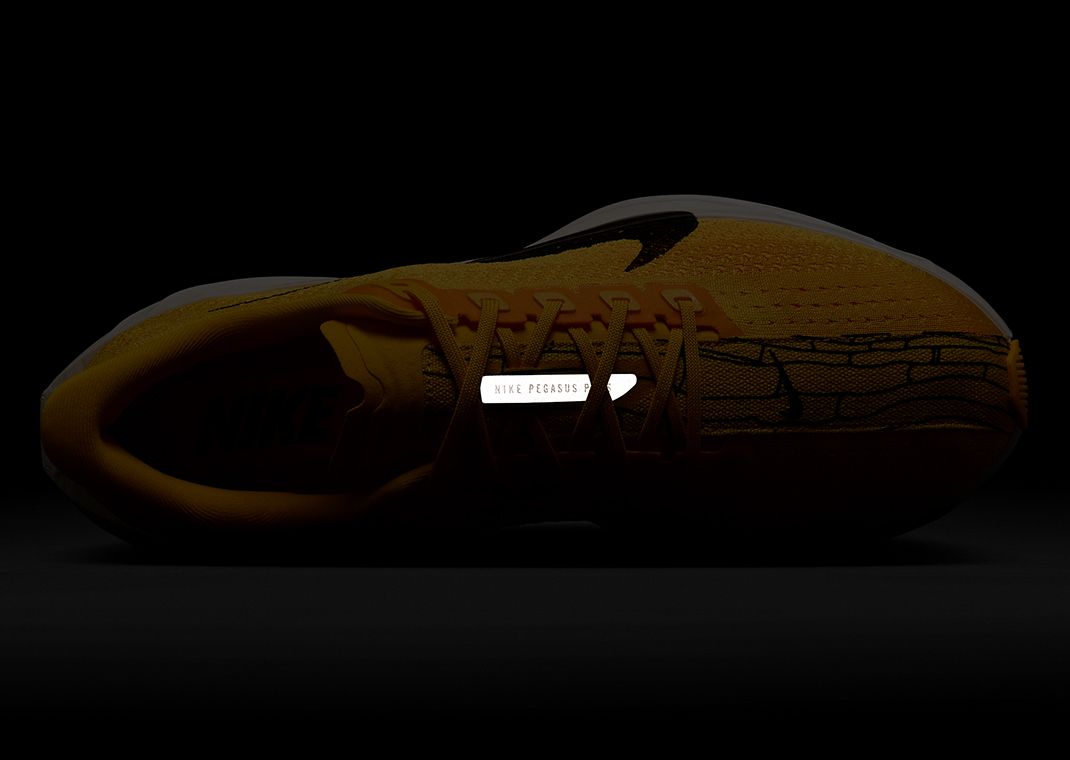 Nike Pegasus Plus Modern Mayfly 3M Top