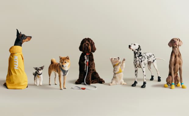 Kith x wagwear Collection