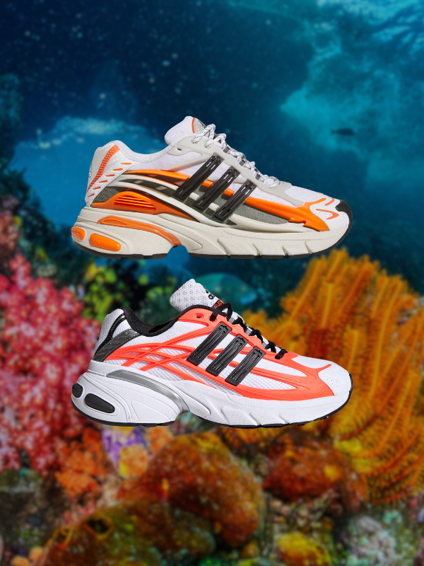 Which Shoe is Worth It?