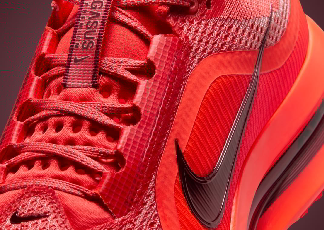 Nike Pegasus Premium Light Crimson