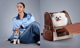 New adidas Pet Tracksuits are Dropping to get your Dogs and Cats Fresh