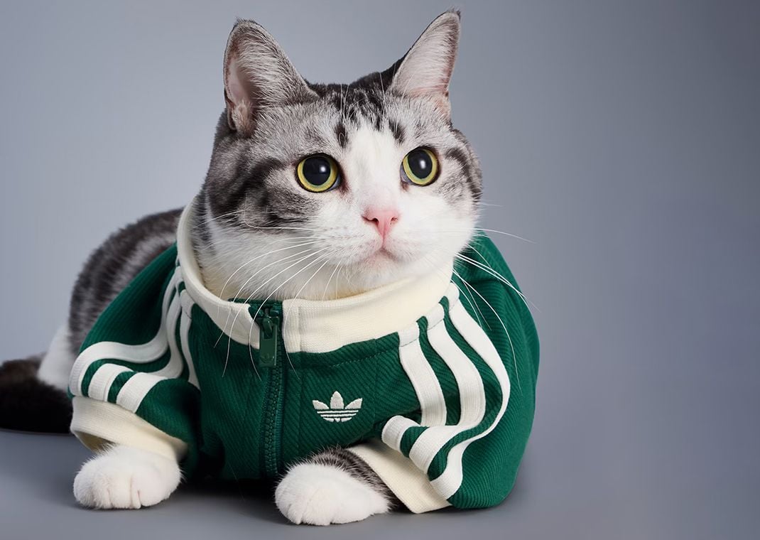 adidas Pet Collection Drop 2