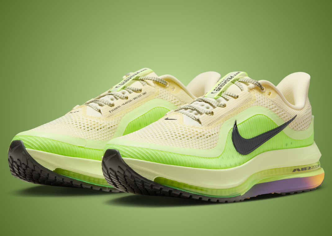 Nike Pegasus Premium Race Day Recharge - Angle