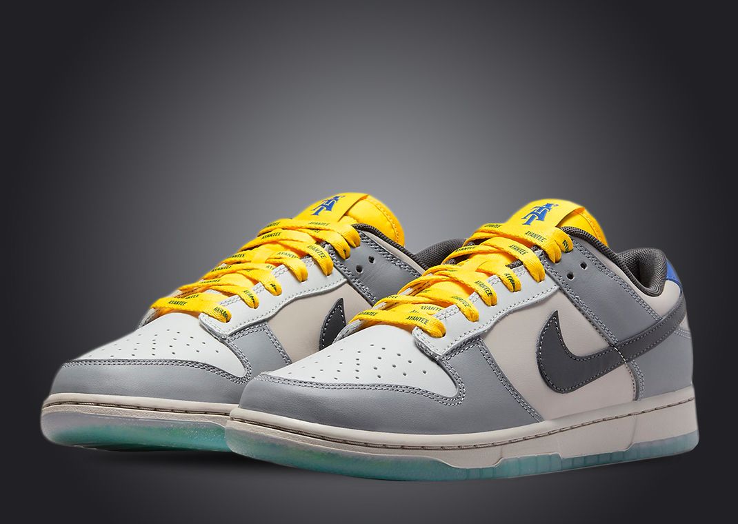 Nike Dunk Low "North Carolina A&T"