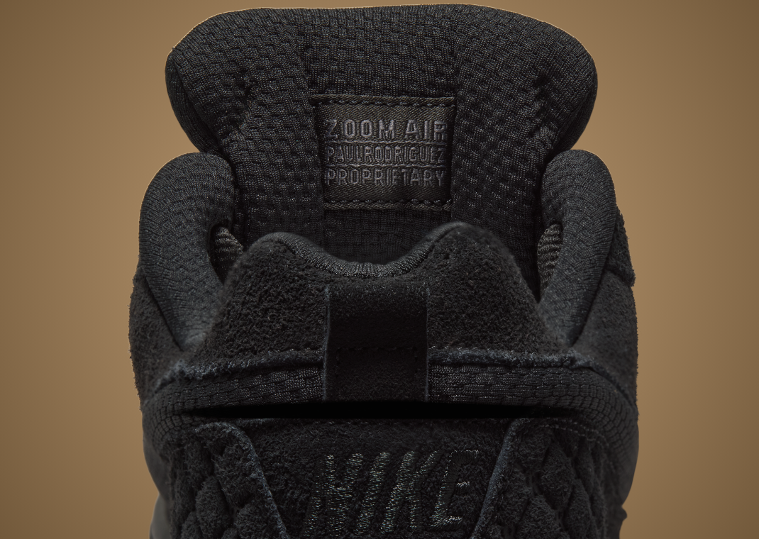 Nike SB Paul Rodriguez Zoom Air Low Black Gum - Detail