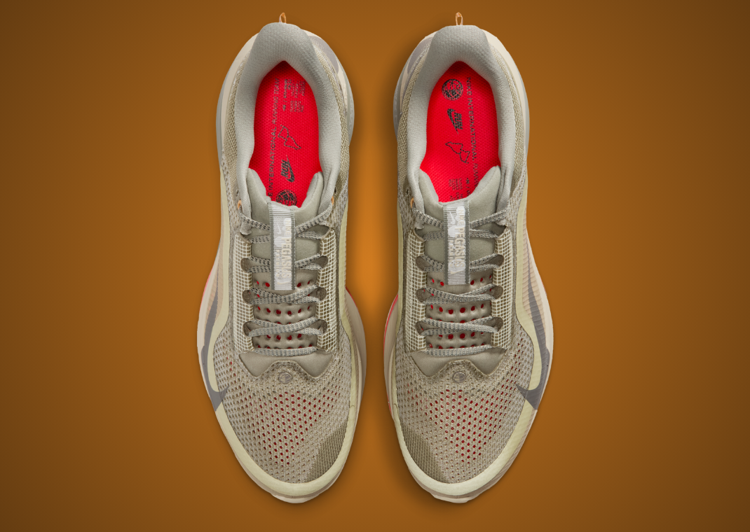 Nike Pegasus Premium Running Poets - Top