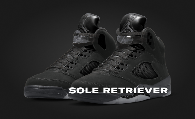The Air Jordan 5 SE Anthracite Has Been Canceled