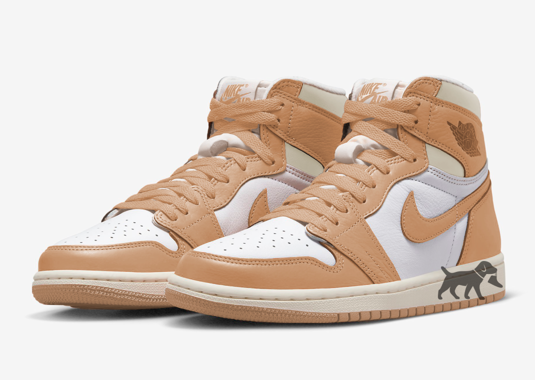 Air Jordan 1 Retro High OG Luxury Handbag Praline (W)