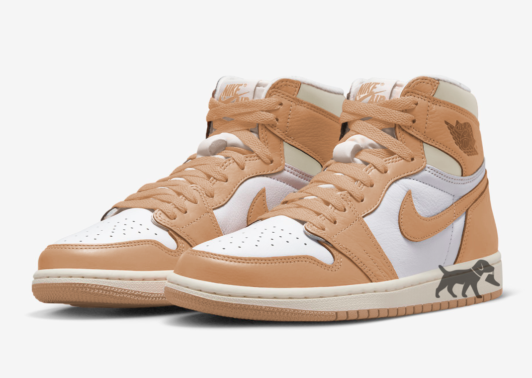 Air Jordan 1 Retro High OG Luxury Handbag Praline (W)