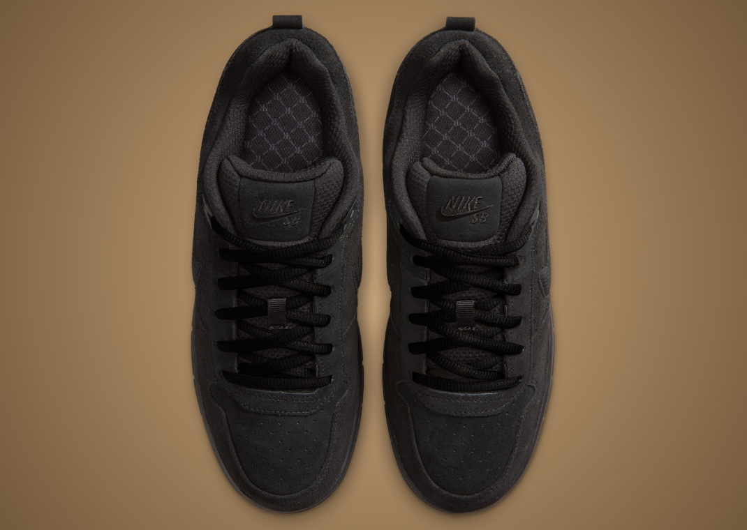 Nike SB Paul Rodriguez Zoom Air Low Black Gum - Top