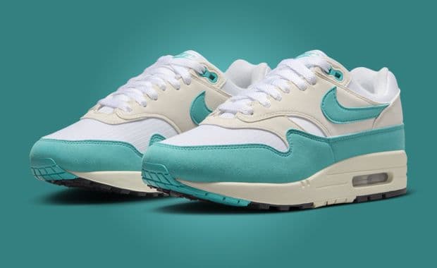 Nike Air Max 1 Dusty Cactus (W) Angle