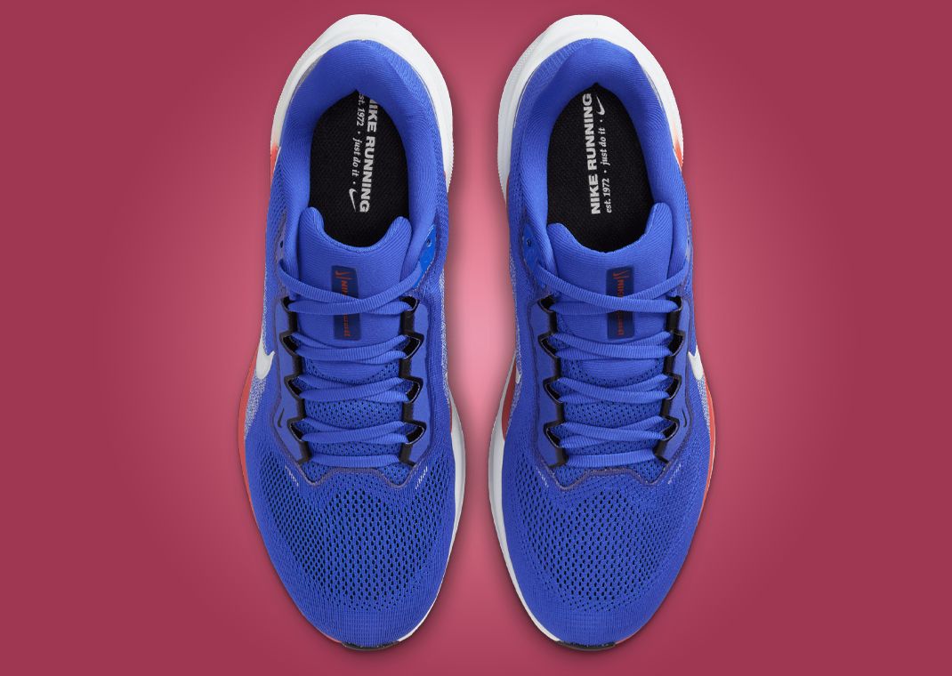 NCAA x Nike Pegasus 41 UF Top
