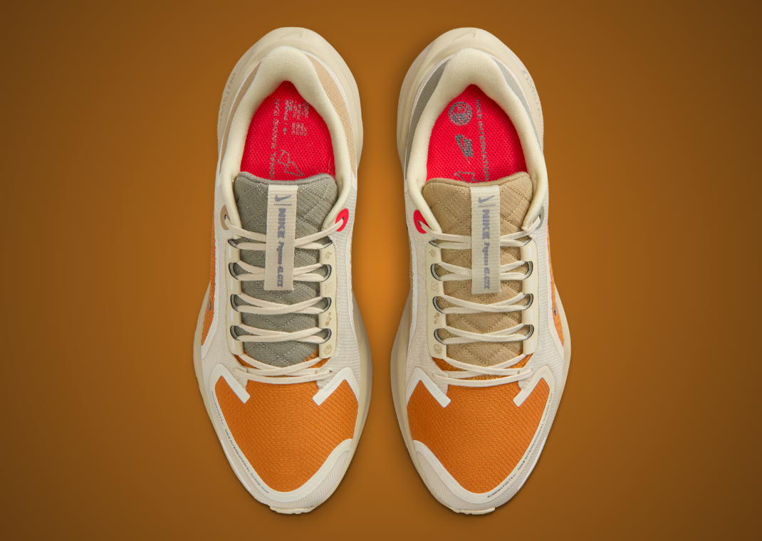 Nike Pegasus 41 Gore-Tex Running Poets - Top