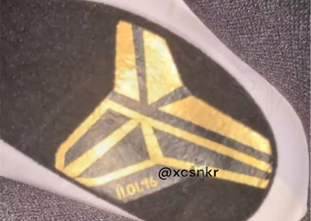 Nike Kobe 11 Protro Mamba Day Detail