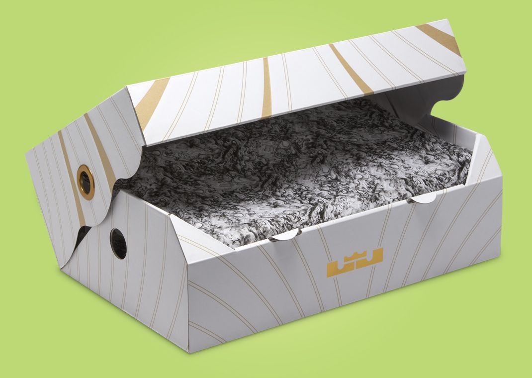 Nike LeBron 21 Algae Packaging