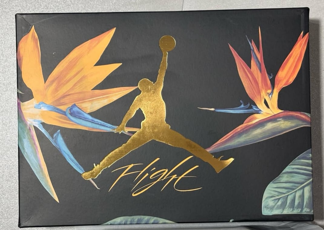 Air Jordan 4 Retro Birds of Paradise (W)