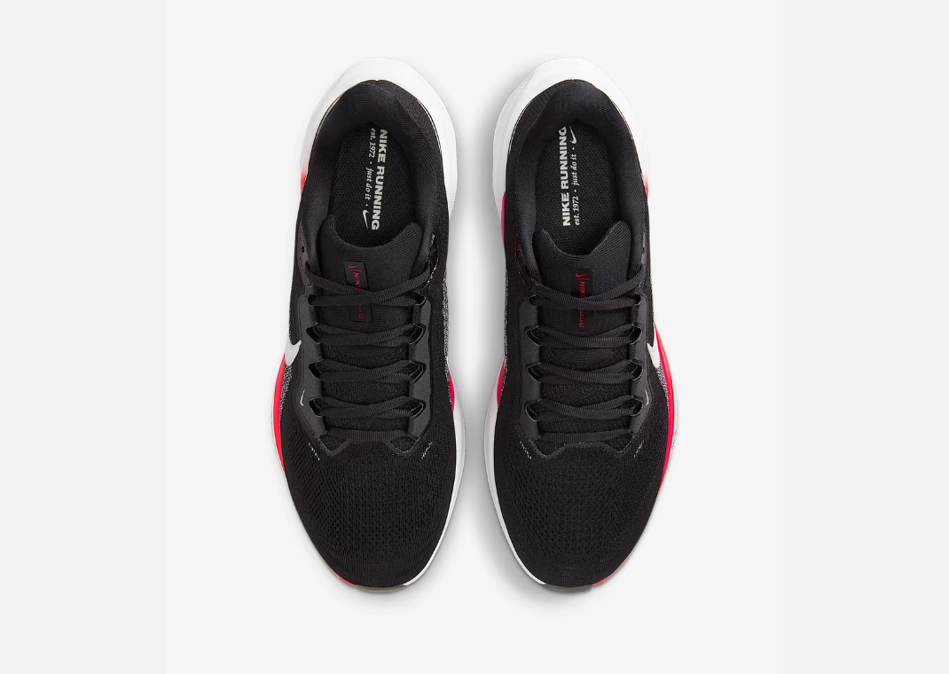NCAA x Nike Pegasus 41 University of Georgia Overhead View