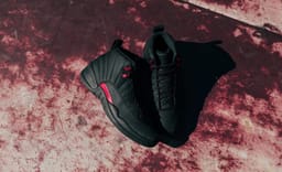 Where to Buy the Air Jordan 12 Retro Bloodline