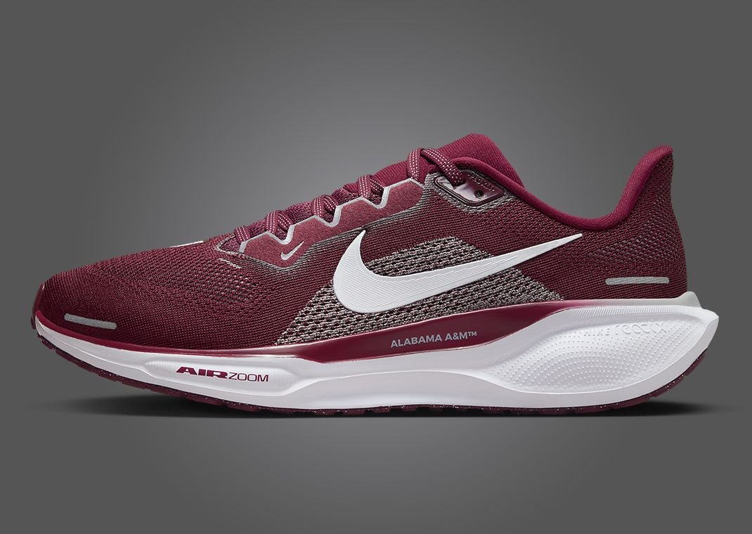 Nike Zoom Pegasus 41 AAMU