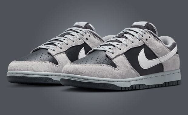 Nike Dunk Low Light Smoke Grey Anthracite