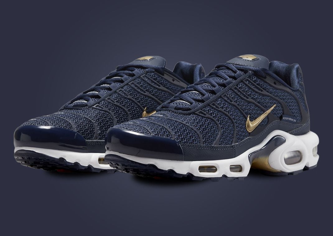 Nike Air Max Plus French Football Federation