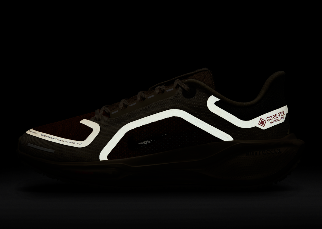 Nike Pegasus 41 Gore-Tex Running Poets - Reflective