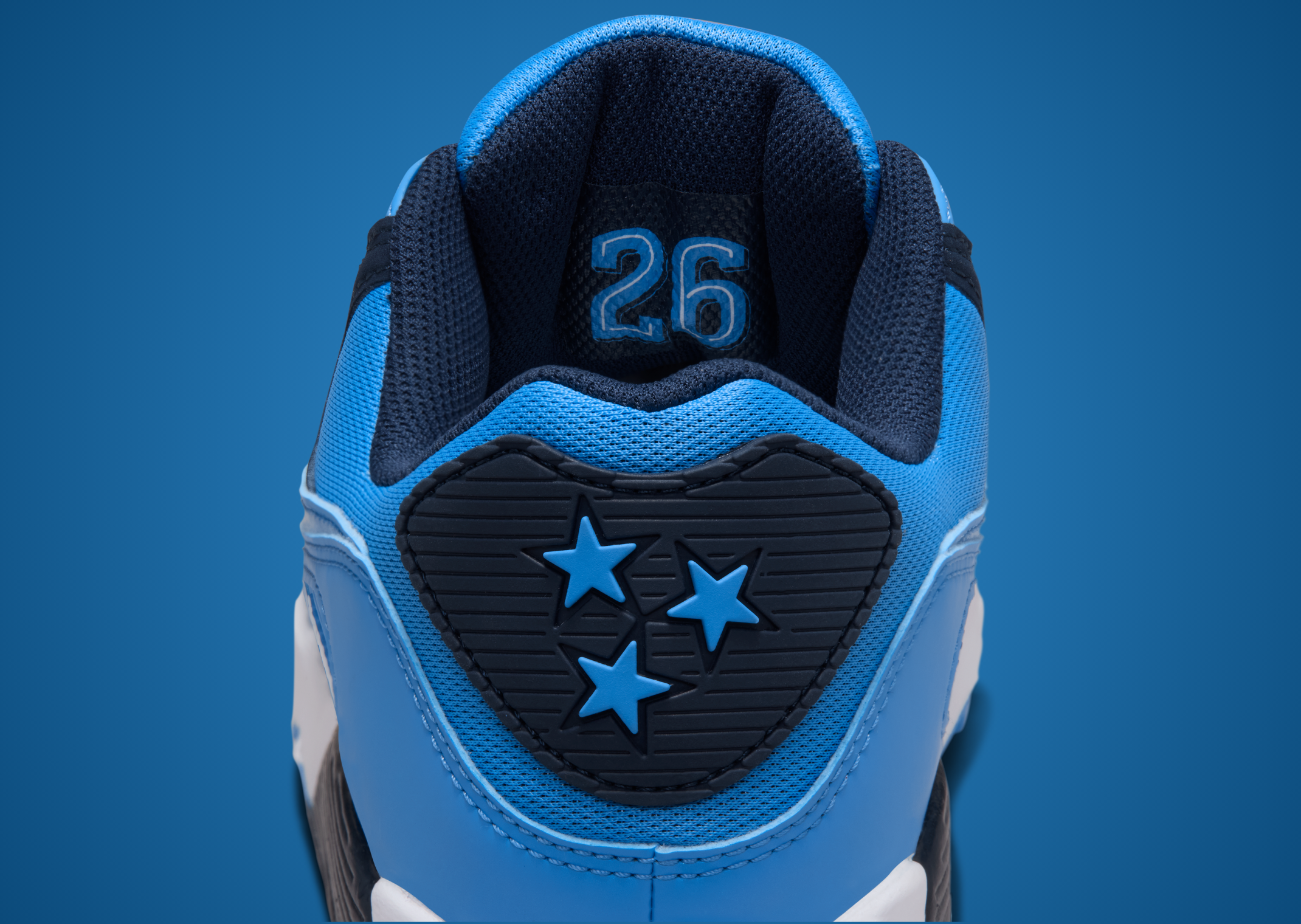 NFL x Nike Air Max 90 Lions Heel
