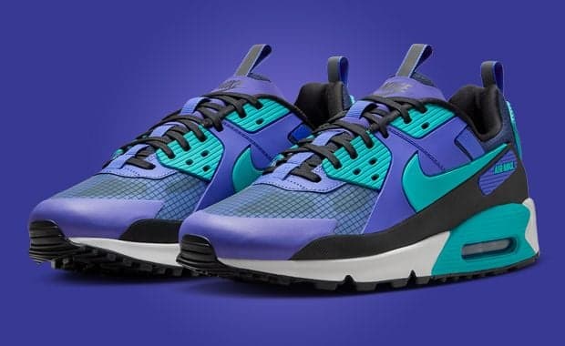 Nike Air Max 90 Drift Persian Violet Dusty Cactus