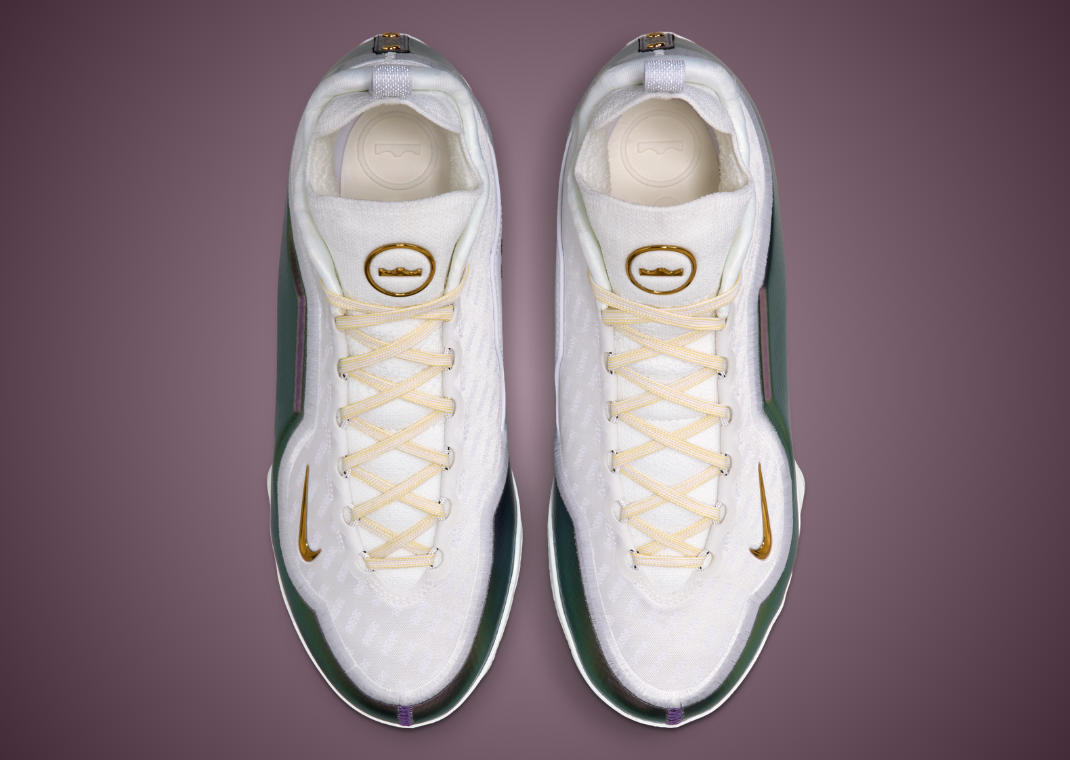Nike LeBron 23 Elite For The Record - Top