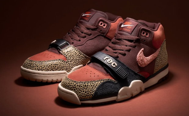 Arts-Rec x Nike SB Air Trainer 1