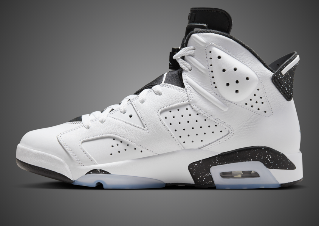 Air Jordan 6 Retro Reverse Oreo Medial