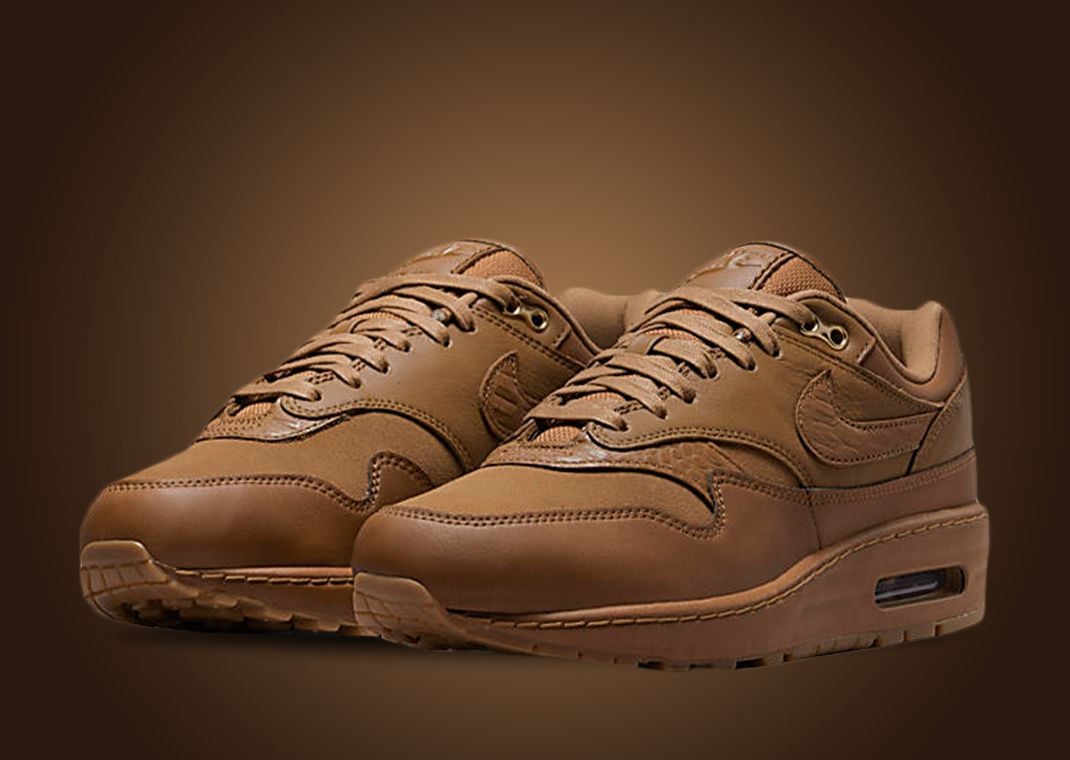 Nike Air Max 1 '87 NBHD Ale Brown (W)