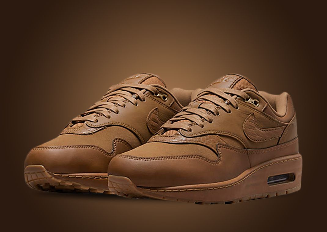 Nike Air Max 1 '87 NBHD Ale Brown (W)